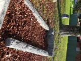 image of grave number 760005